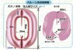 画像2: 長期浮遊チェーンバルーン（5枚） (2)