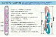 画像4: 長期浮遊チェーンバルーン（5枚） (4)