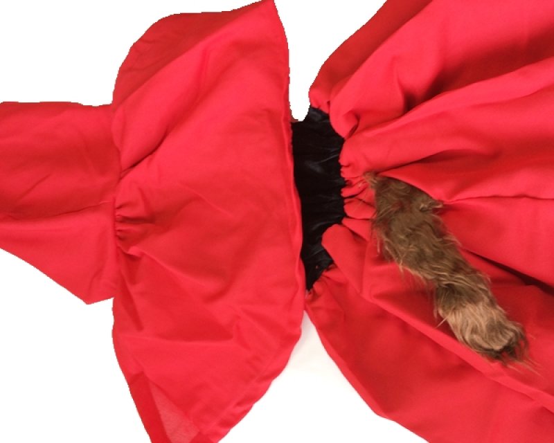 画像3: 赤ずきんコスチューム (3)