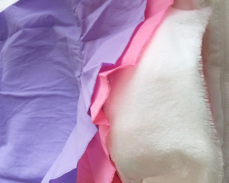 画像5: デイジーダックコスチューム (5)