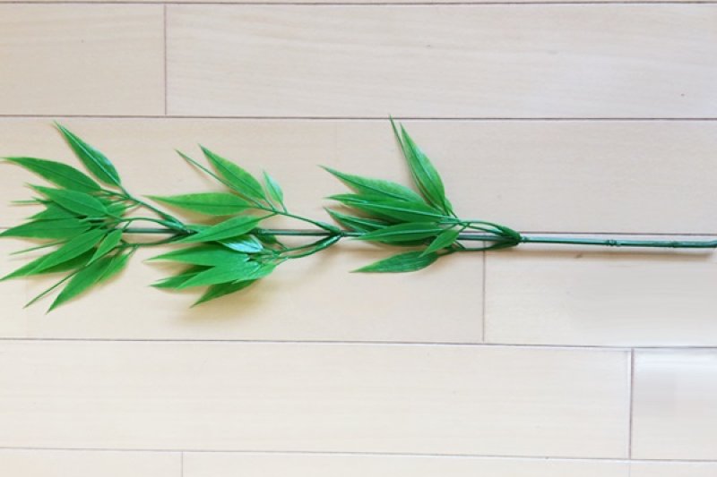 画像2: 七夕笹10セット (2)