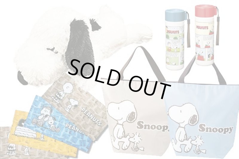 画像2: スヌーピーアイテム抽選会100名用 (2)