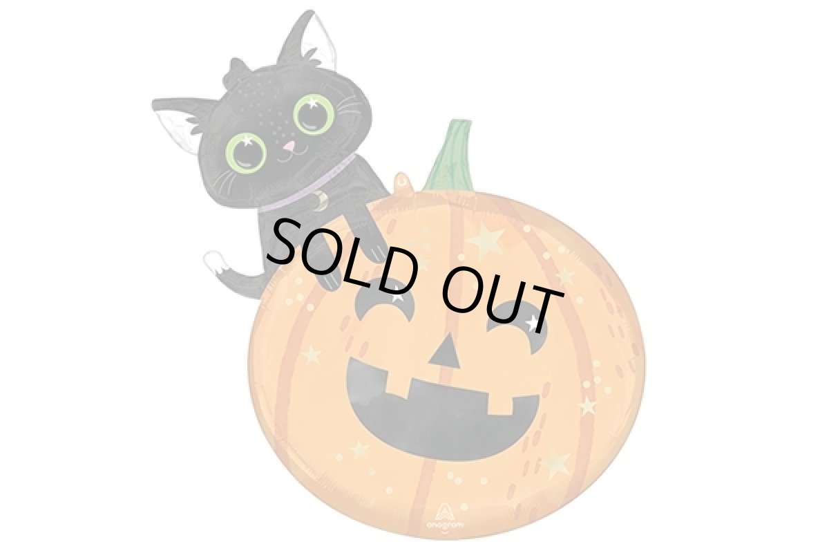 画像1: ハロウィン黒猫とかぼちゃの風船5枚 (1)