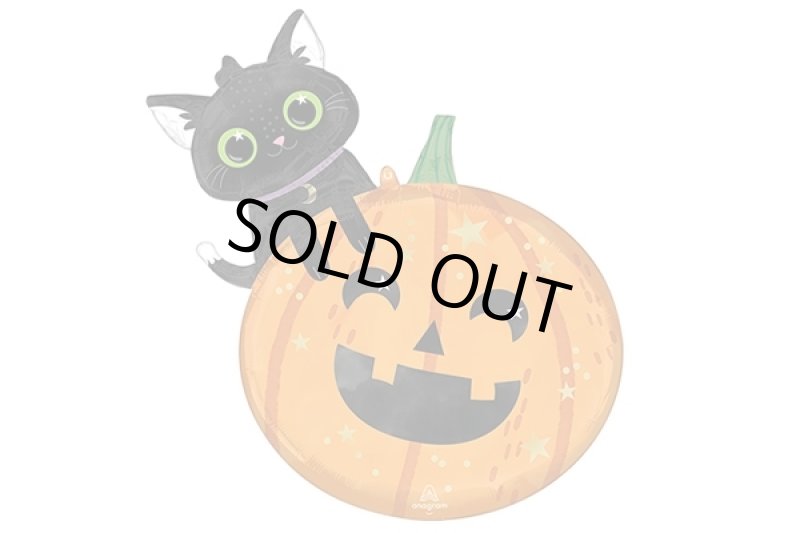 画像1: ハロウィン黒猫とかぼちゃの風船5枚 (1)