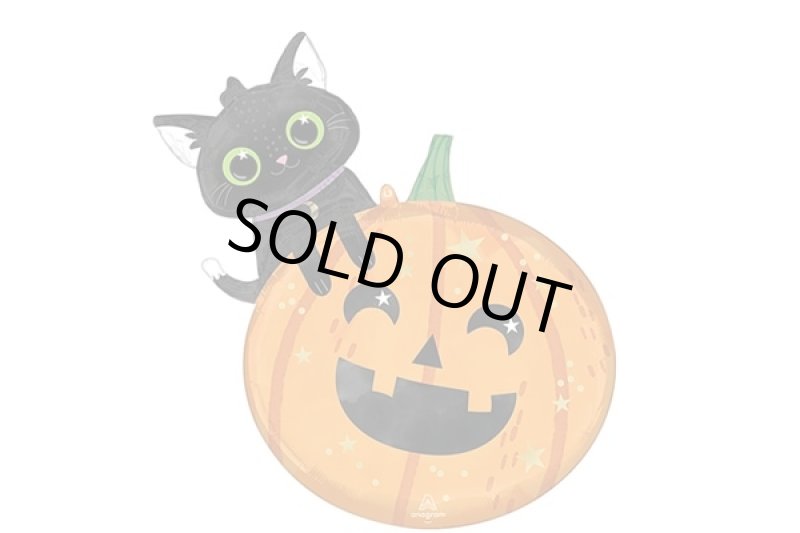 画像1: 黒猫パンプキン風船5枚 (1)