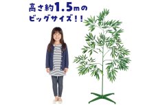 画像1: 七夕用特大笹 1.5m スタンド付き (1)
