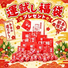 画像1: 運だめしお正月福袋抽選会セット (1)